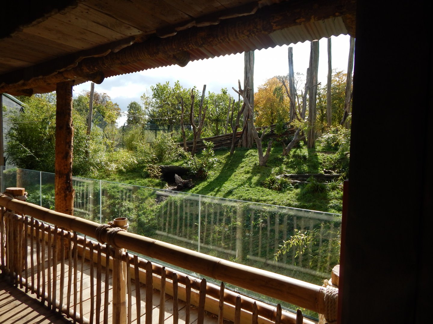 Islands - Sun bear viewing window 071020