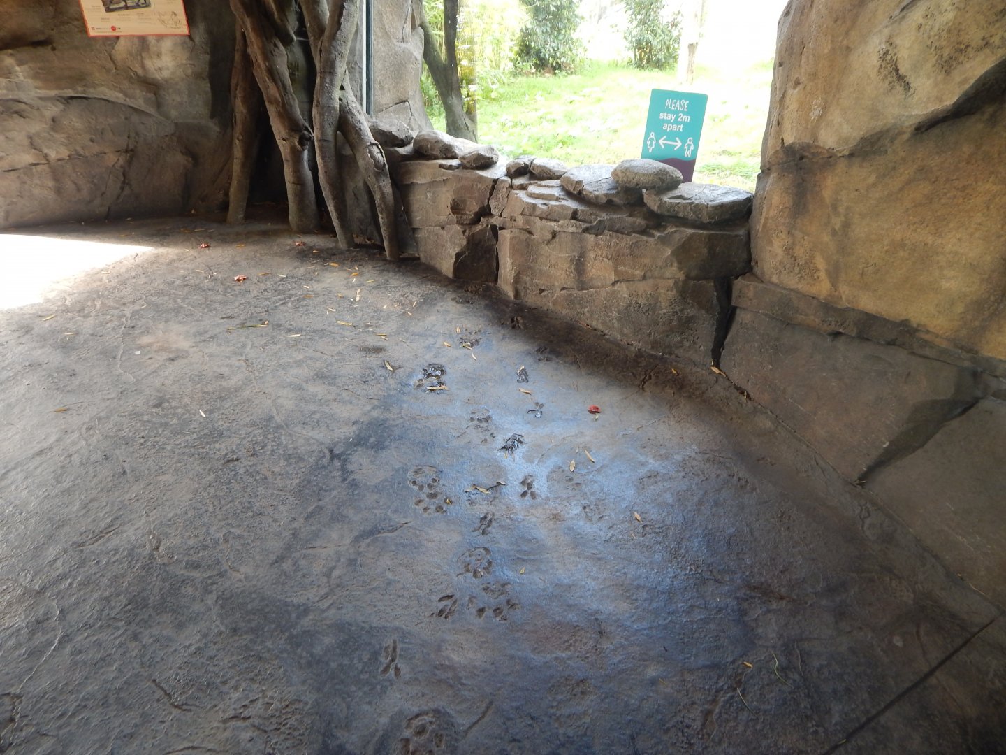 Islands - Tiger viewing area 071020