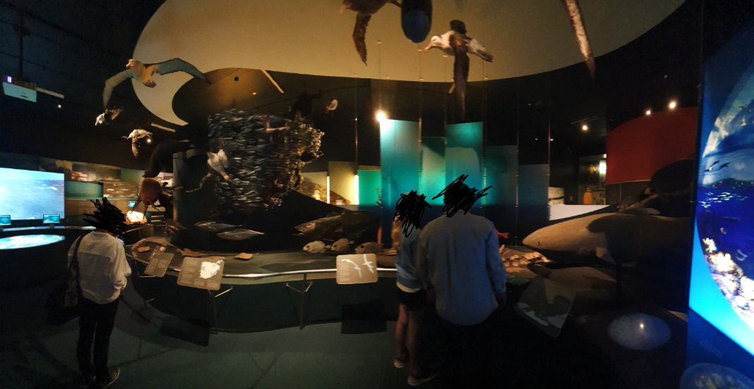 Islands to Ice - Tasmanian Museum and Art Gallery