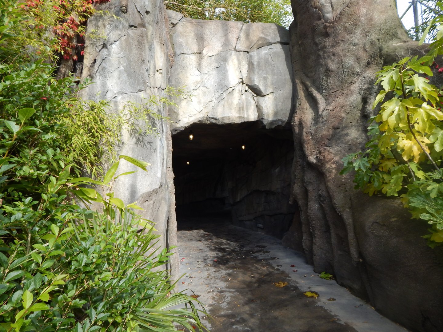 Islands - Tunnel to tiger viewing area 071020