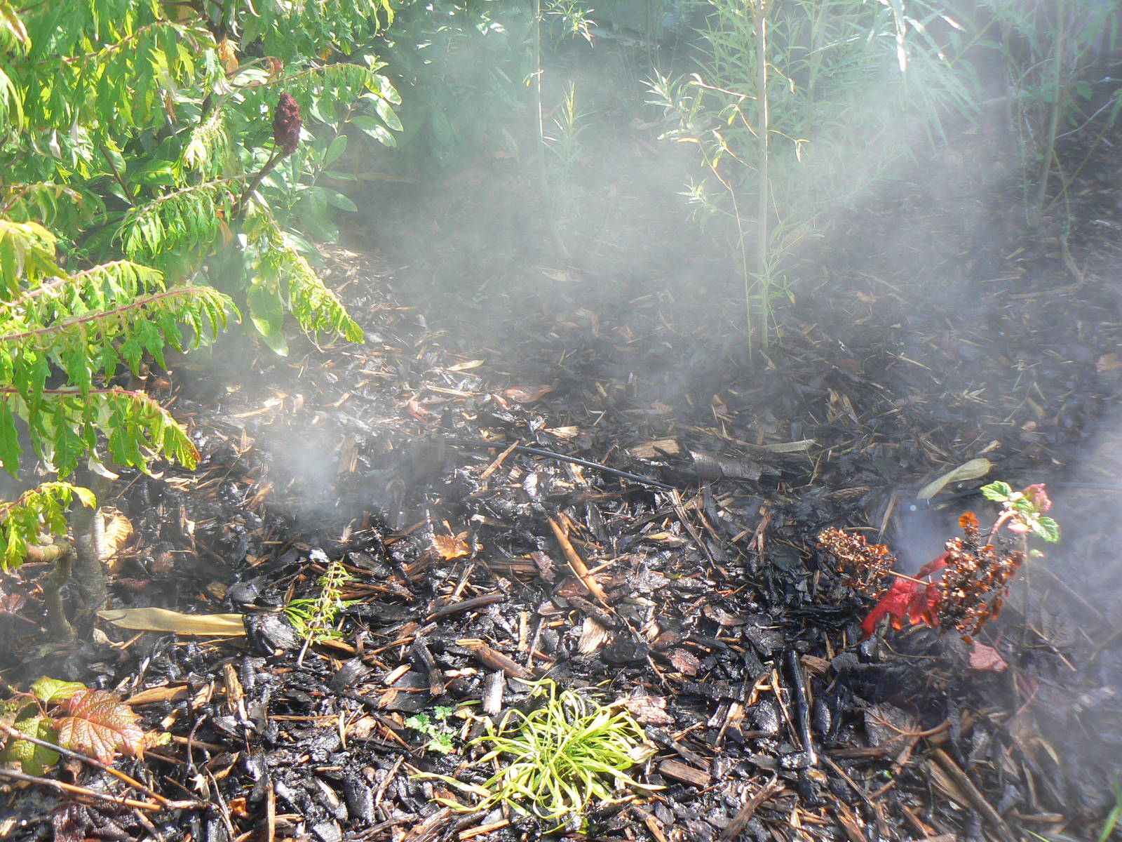 Islands- Unnecessary Mist