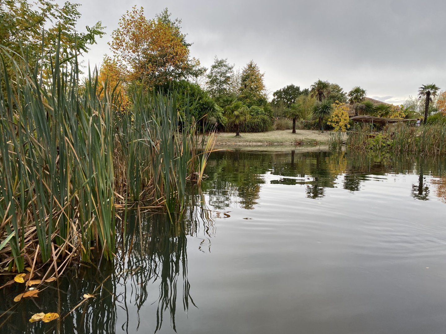 Islands - View from boat 221022