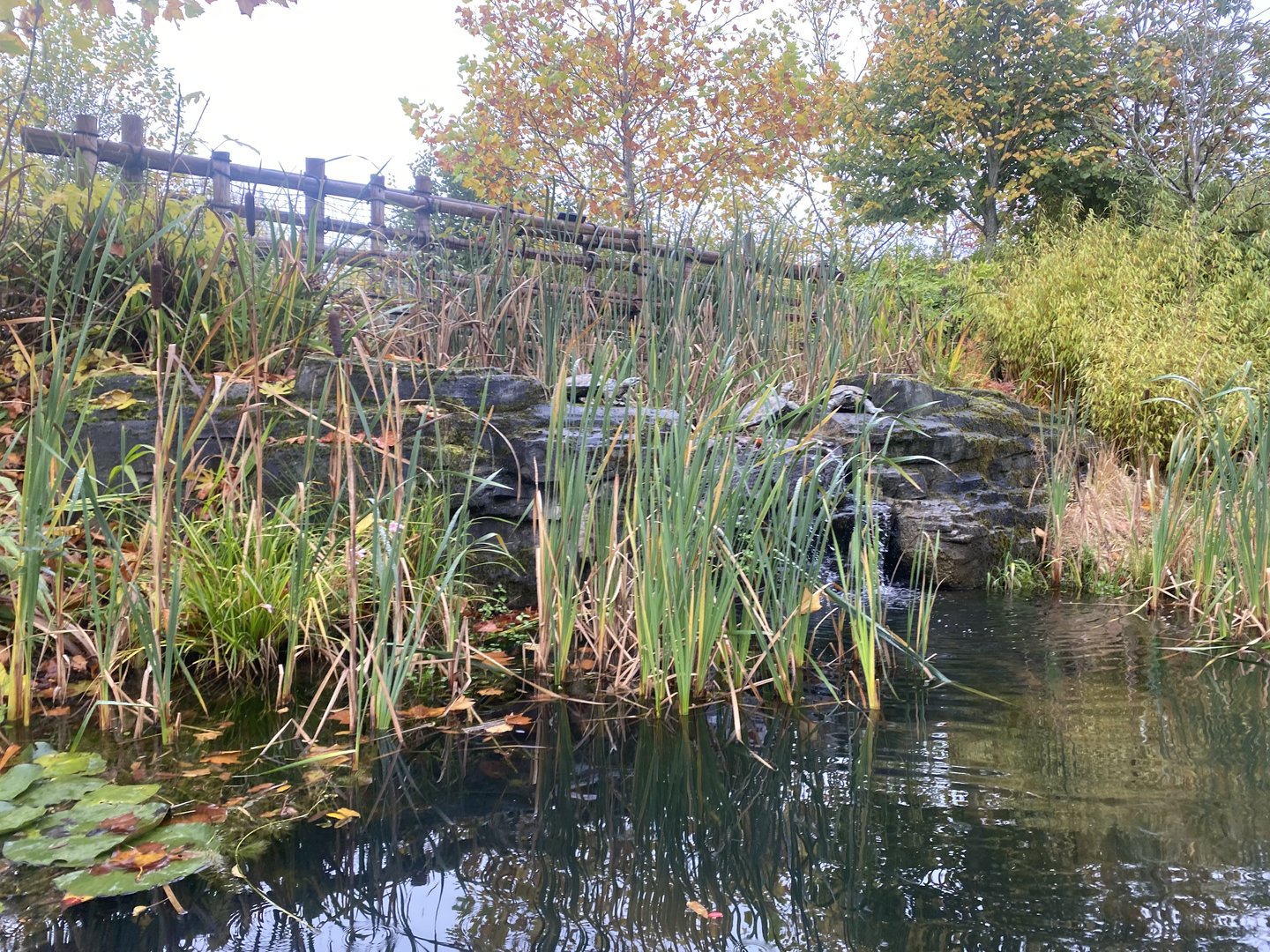 Islands - View from boat 221022