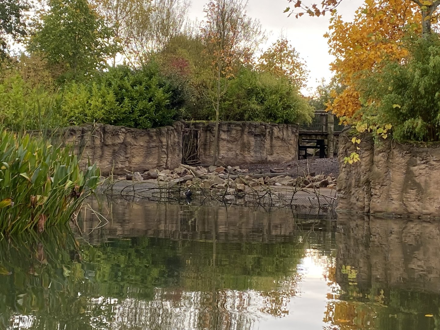 Islands - View from boat - Warty pig enclosure 221022