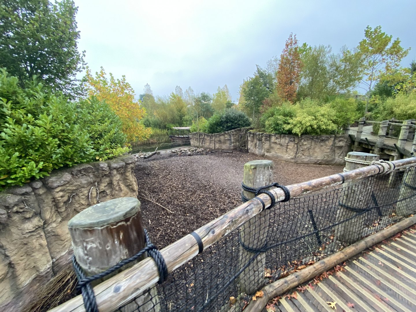 Islands - Visayan warty pig enclosure 181021