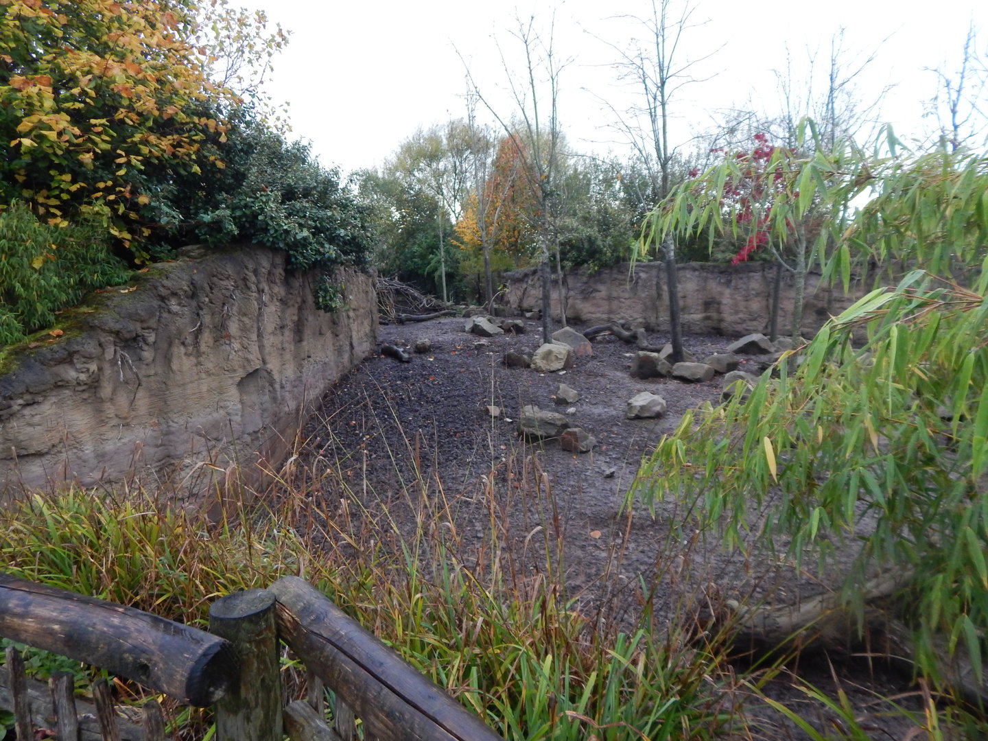 Islands - Visayan warty pig enclosure 221022