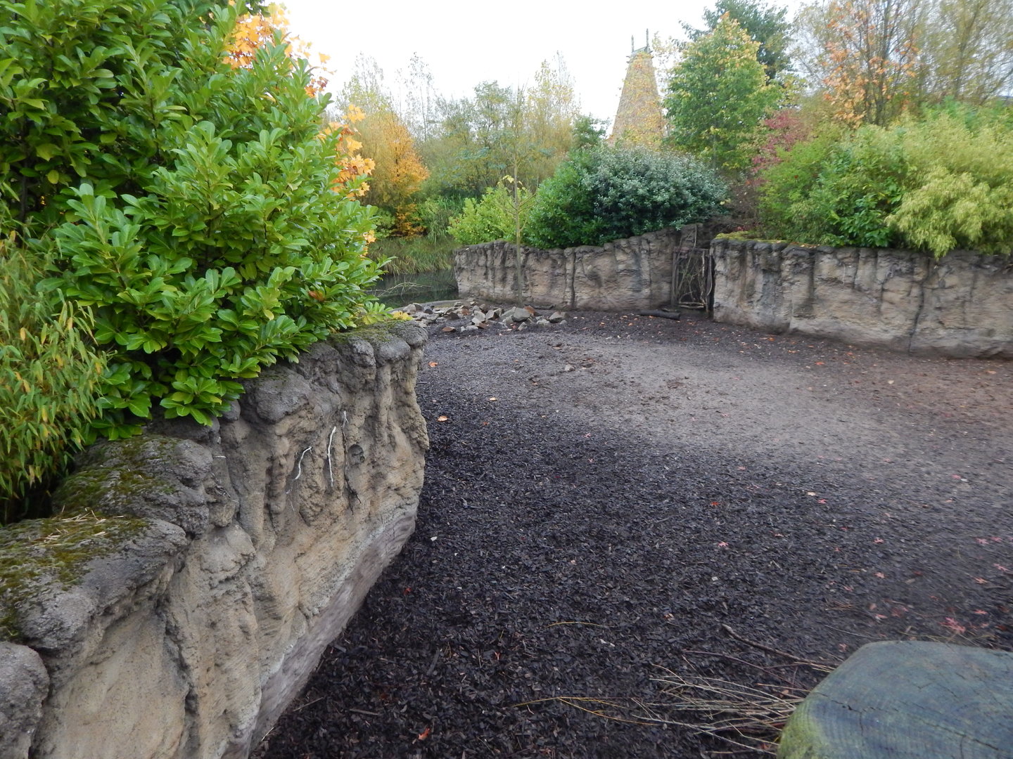 Islands - Visayan warty pig enclosure 221022