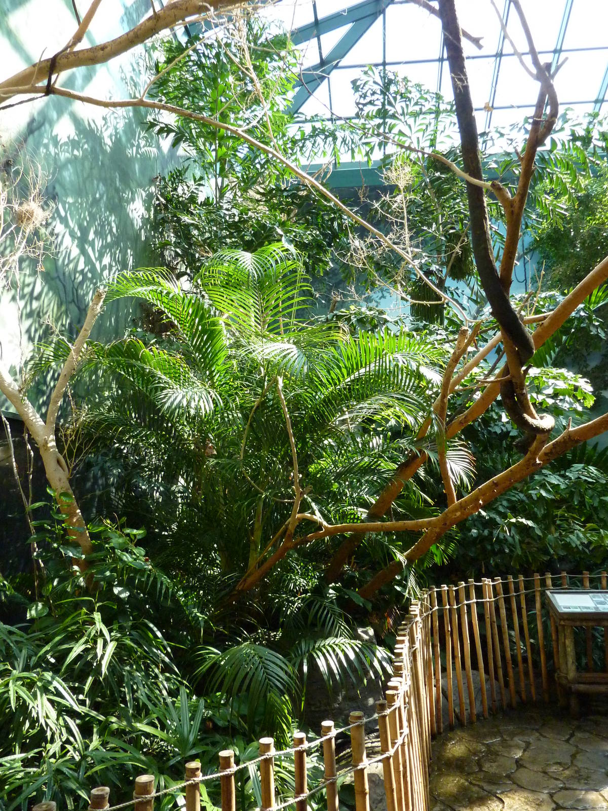 Islands - Walk-Through Aviary