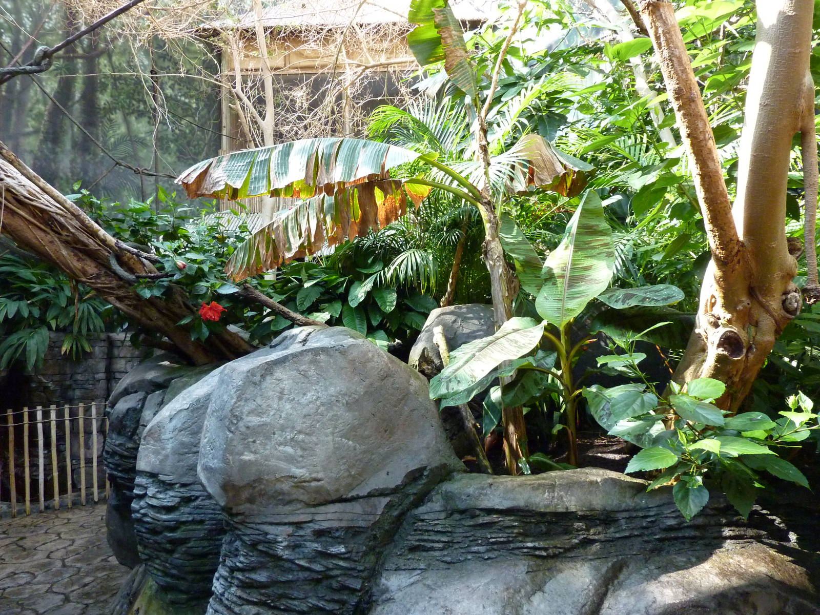 Islands - Walk-Through Aviary