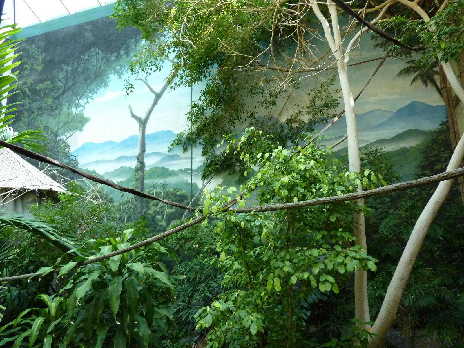 Islands - Walk-Through Aviary