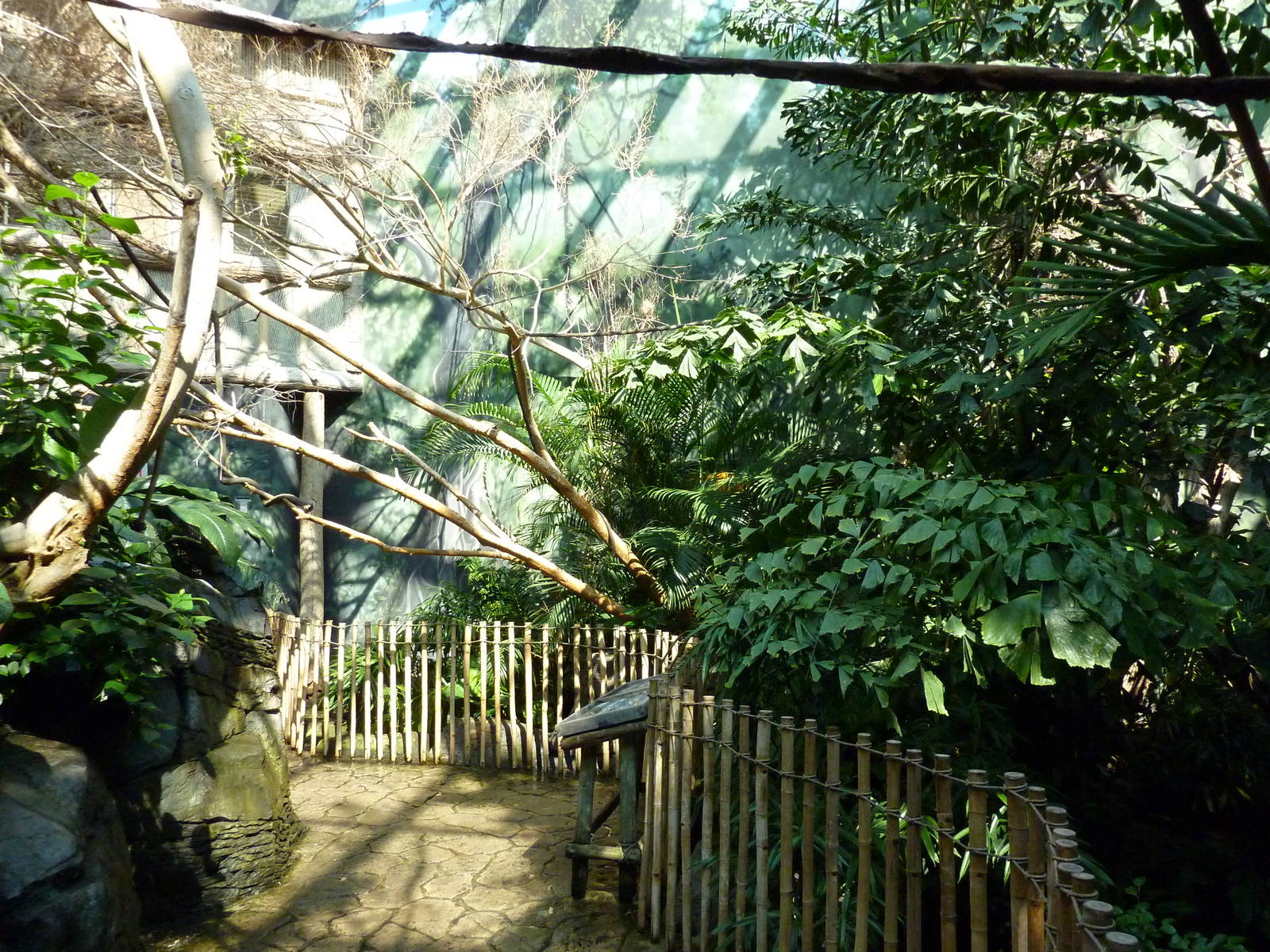 Islands - Walk-Through Aviary