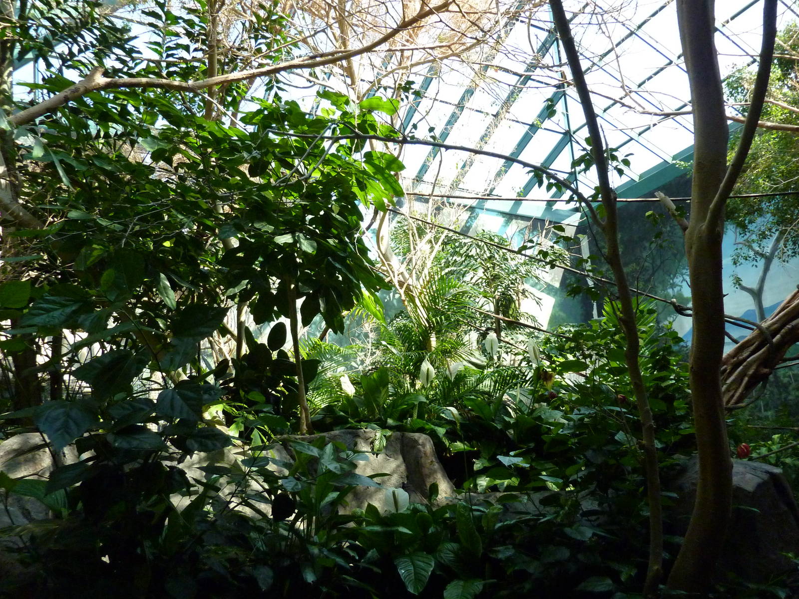 Islands - Walk-Through Aviary