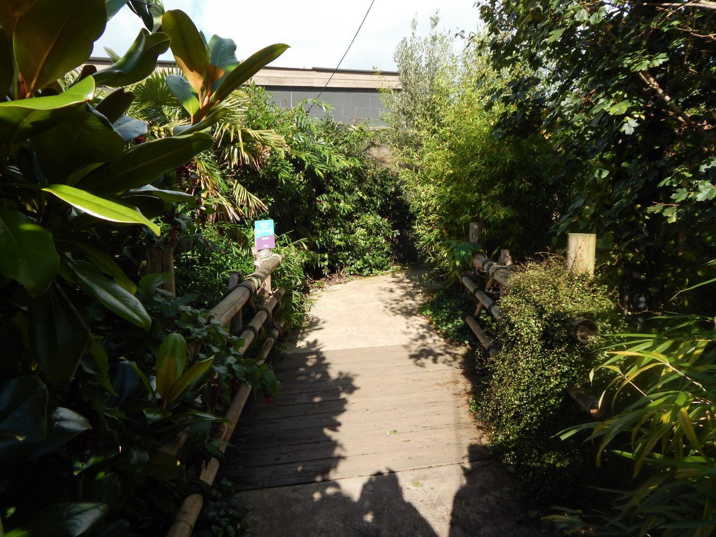 Islands - Walkthrough aviary walkway 071020