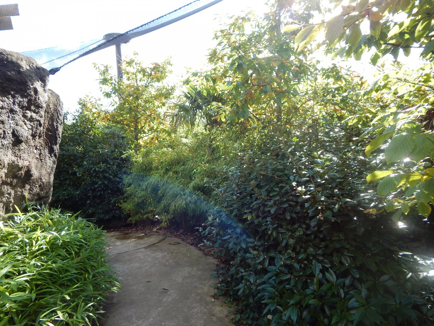 Islands - Walkthrough aviary walkway 071020