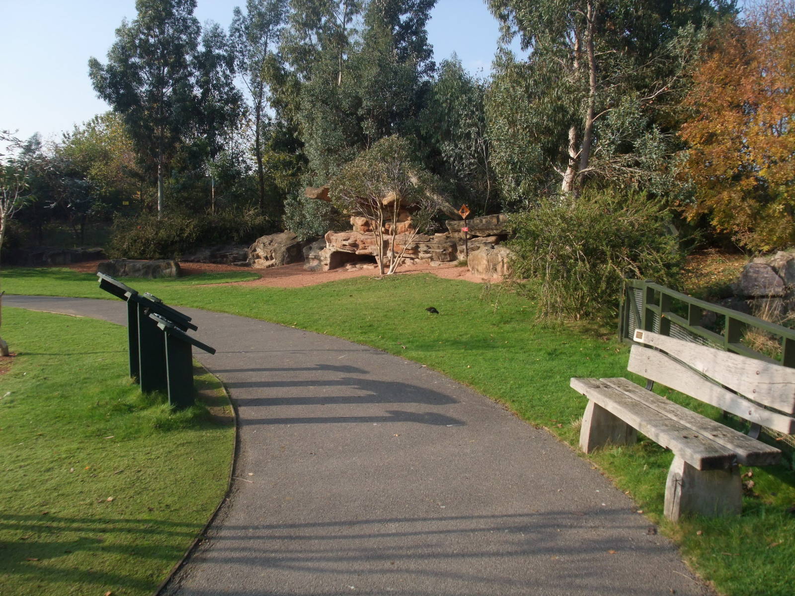 Islands Waterfowl Pen at London WWT (Barnes), 15/11/11