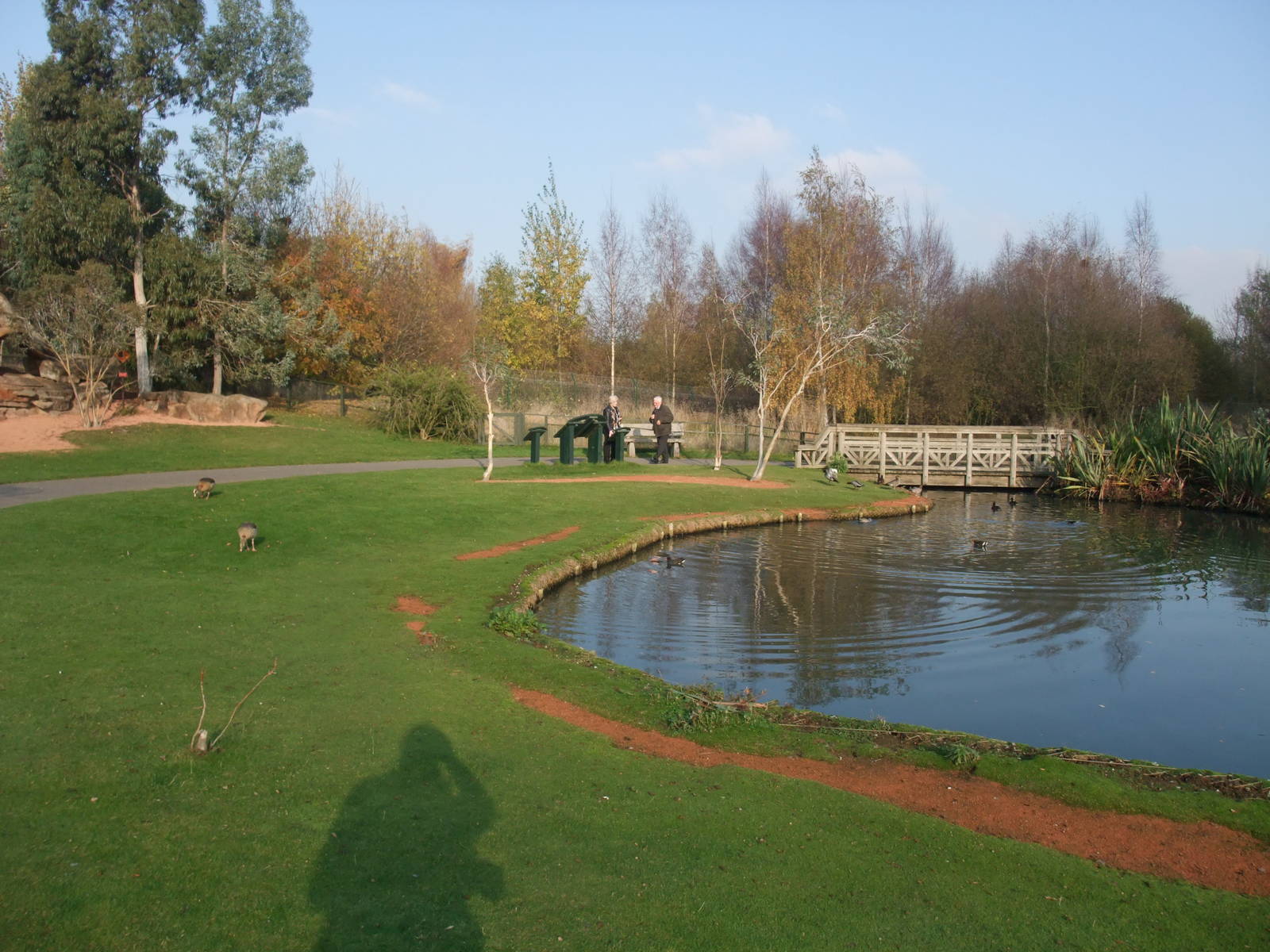 Islands Waterfowl Pen at London WWT (Barnes), 15/11/11