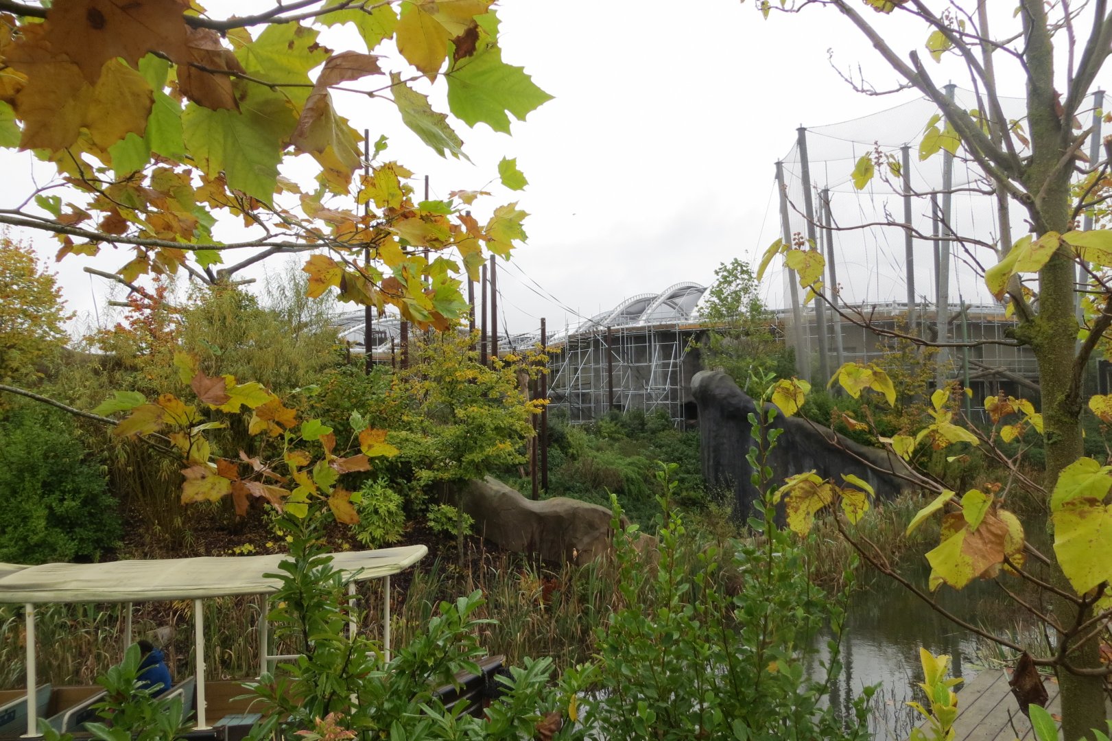 Islands - work on Monsoon Forest 261019