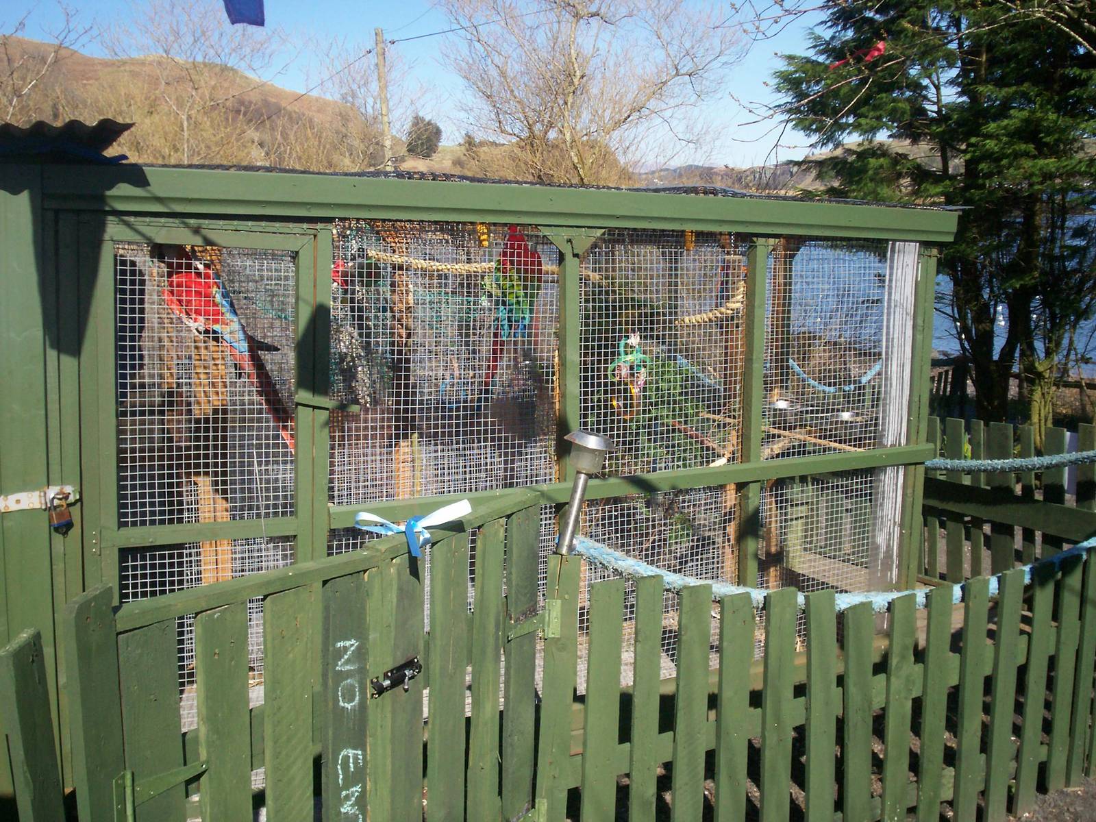 Isle of Kerrera Parrot sanctuary