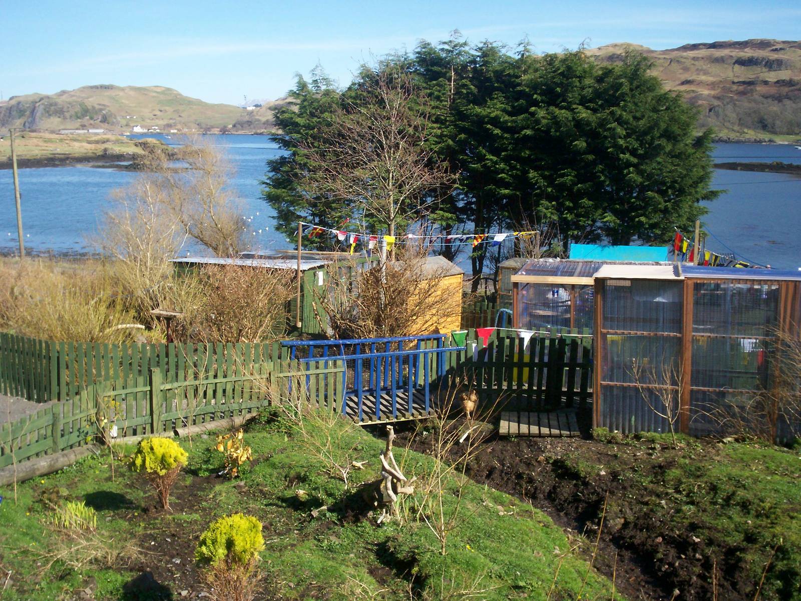 Isle of Kerrera Parrot sanctuary
