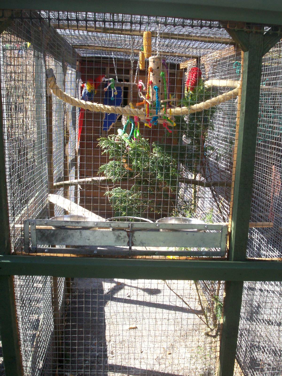 Isle of Kerrera Parrot sanctuary