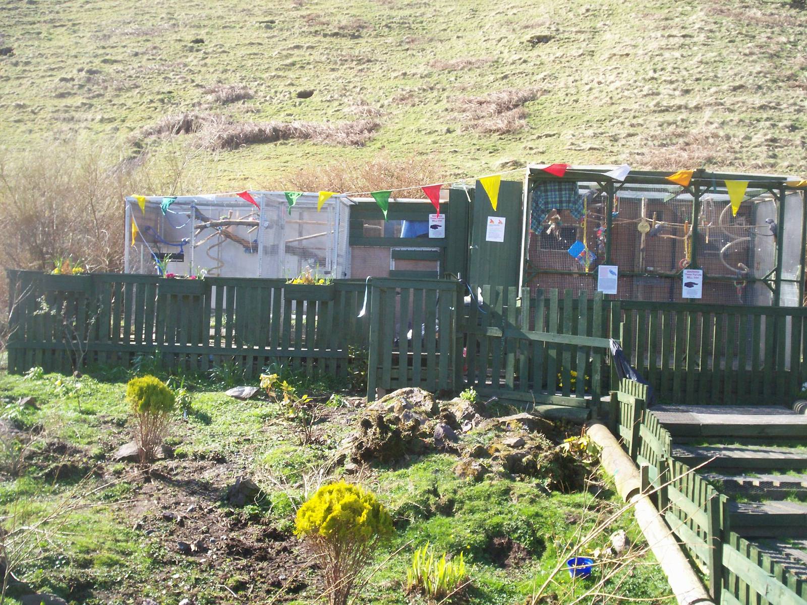 Isle of Kerrera Parrot sanctuary