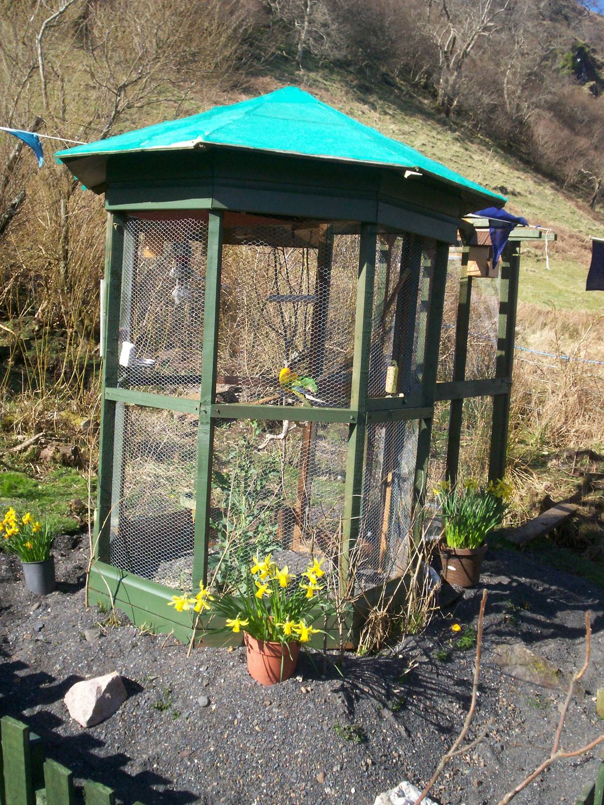 Isle of Kerrera Parrot sanctuary