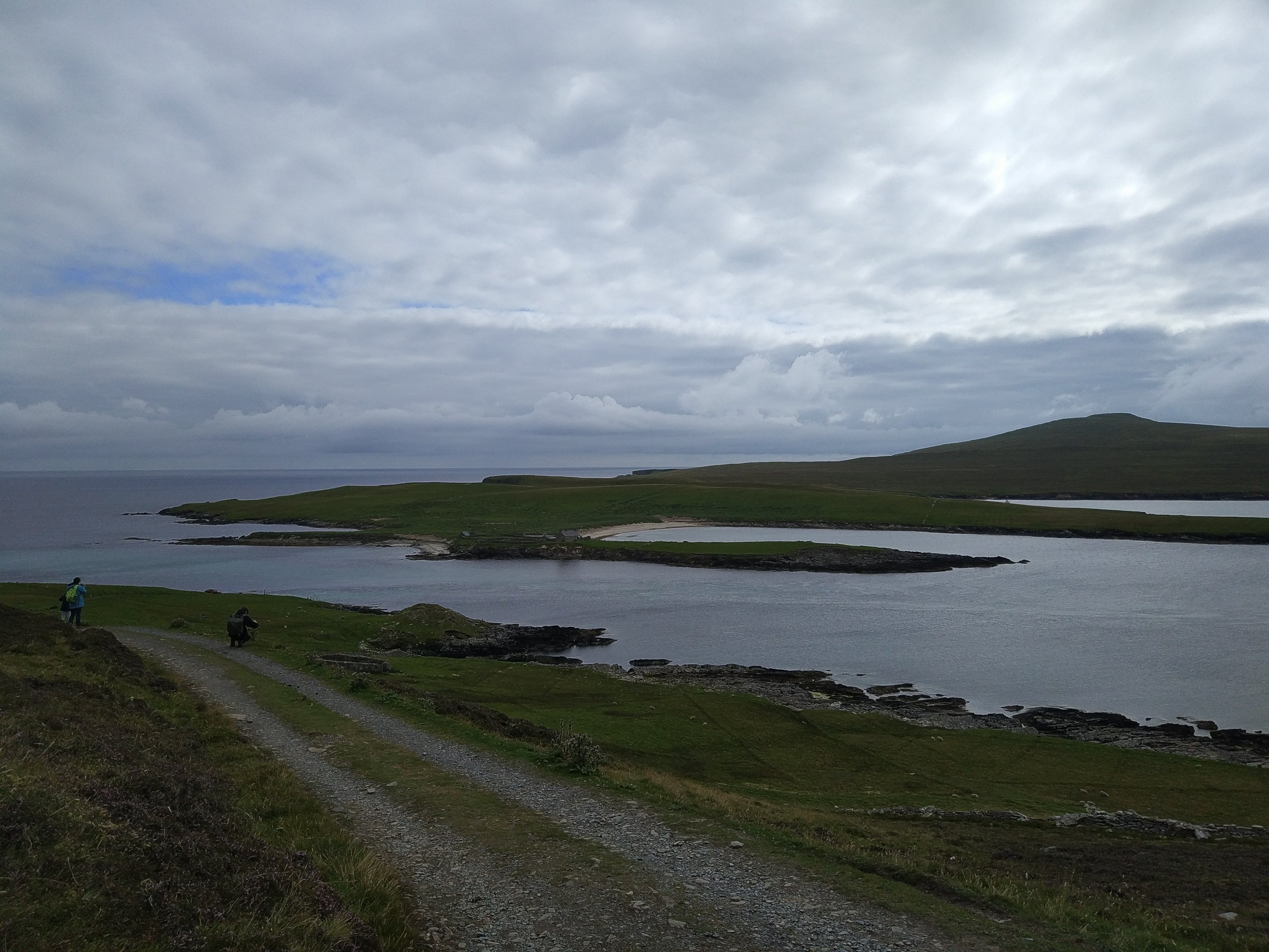 Isle of Noss, Shetland