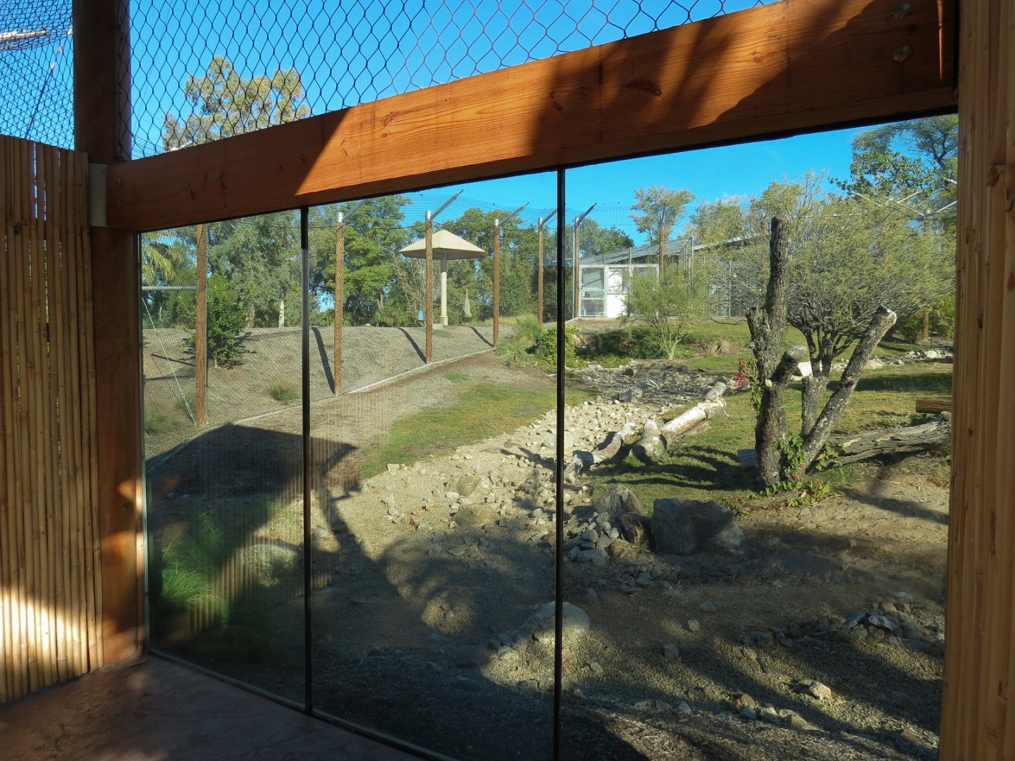 Isle of the Tiger - Left Exhibit Small Viewing Shelter