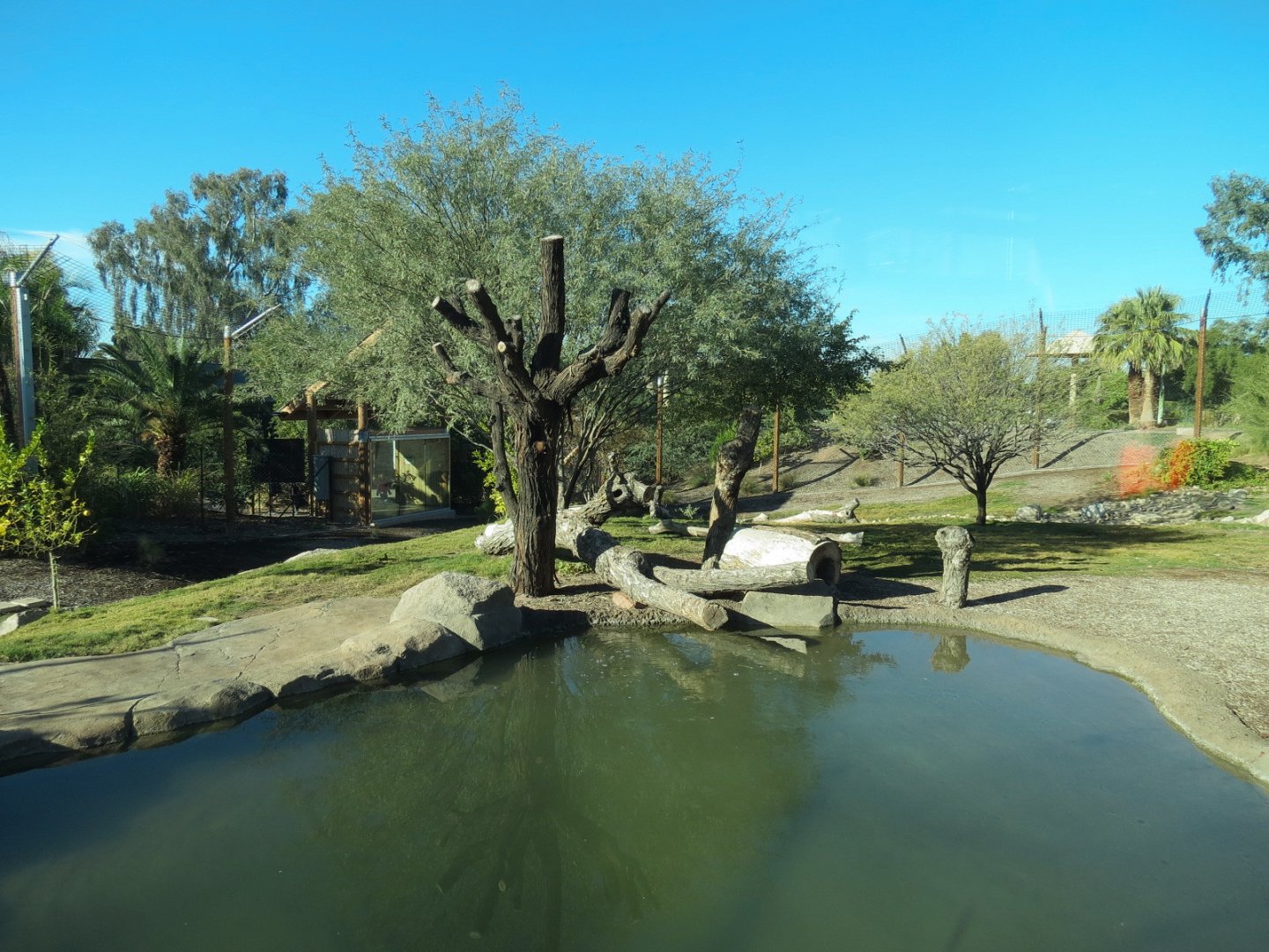 Isle of the Tiger - Left Exhibit