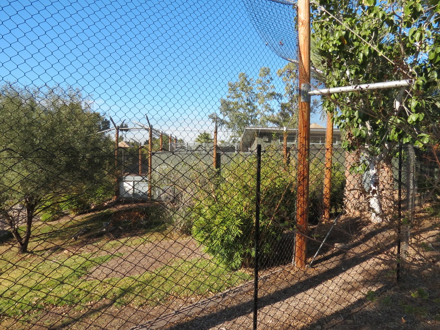 Isle of the Tiger - Right Exhibit