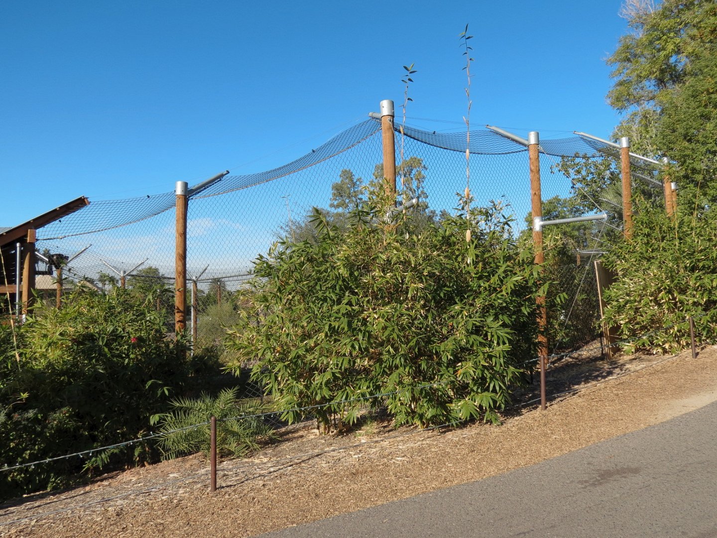 Isle of the Tiger - Right Exhibit