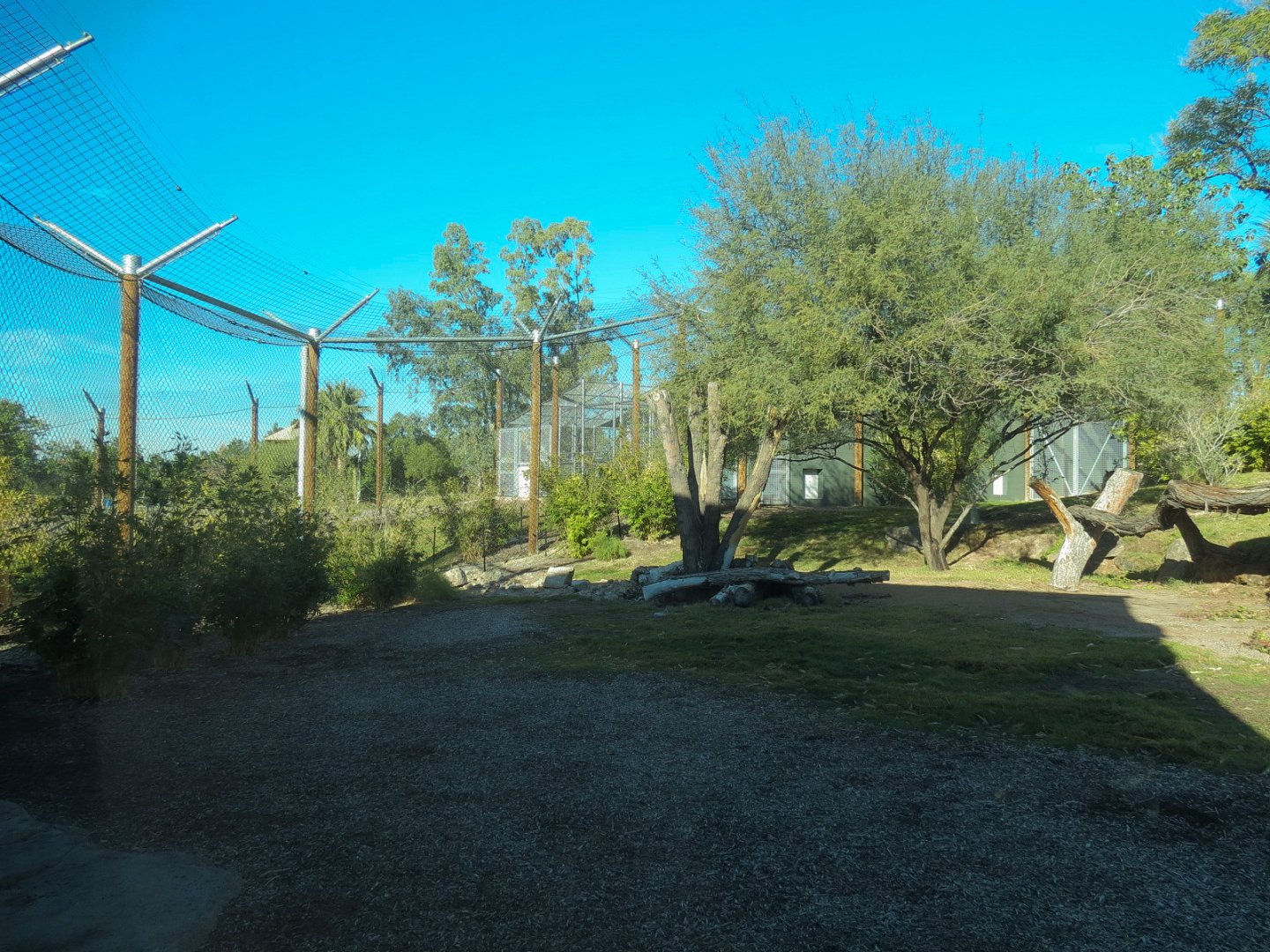 Isle of the Tiger - Right Exhibit