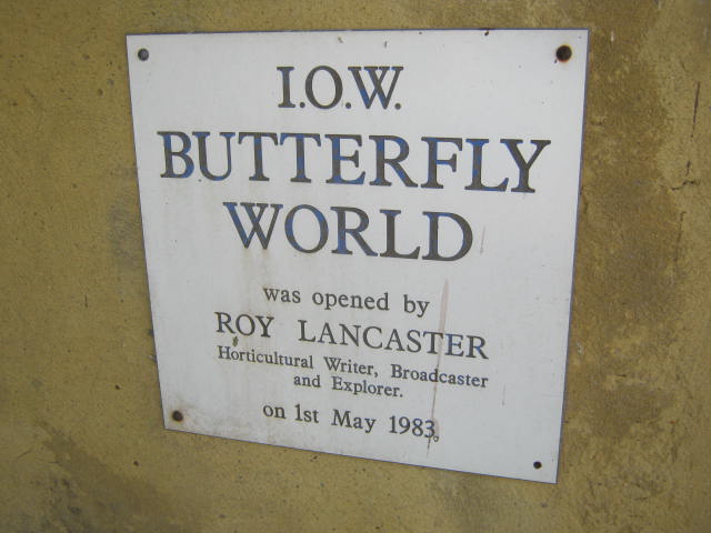 Isle of Wight Butterfly World 2016