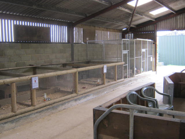 Isle of Wight Owl and Falconry Centre 2016.