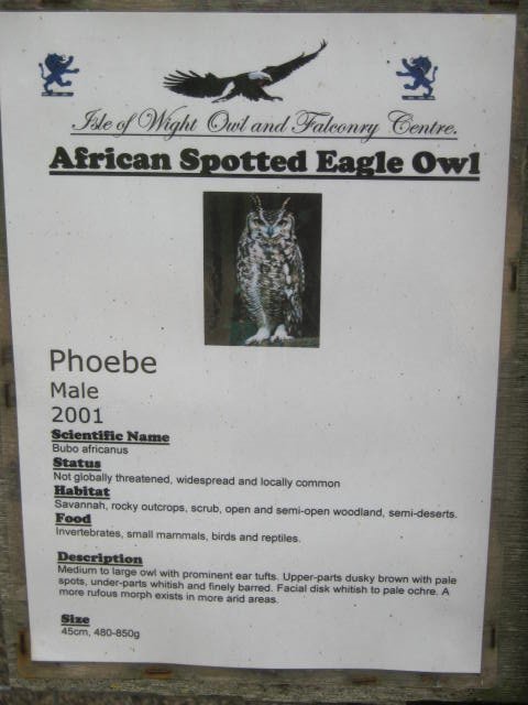 Isle of Wight Owl and Falconry Centre 2016