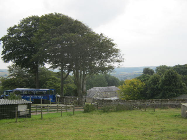 Isle of Wight Owl and Falconry Centre 2016