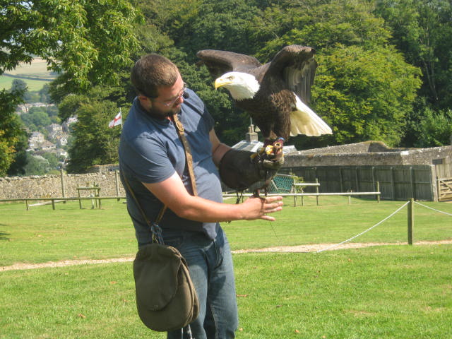 Isle of Wight Owl and Falconry Centre 2016
