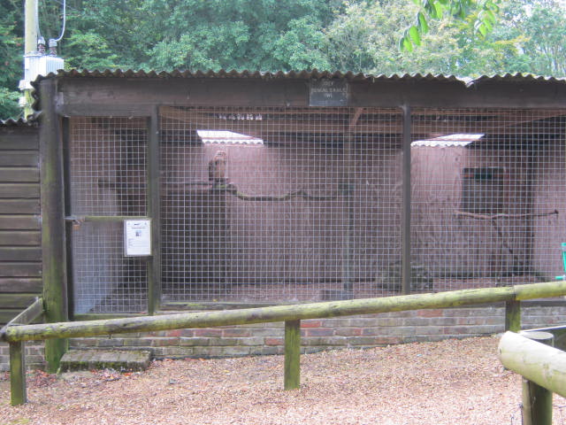 Isle of Wight Owl and Falconry Centre 2016