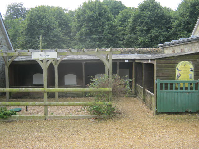 Isle of Wight Owl and Falconry Centre, Appuldurcombe 2016