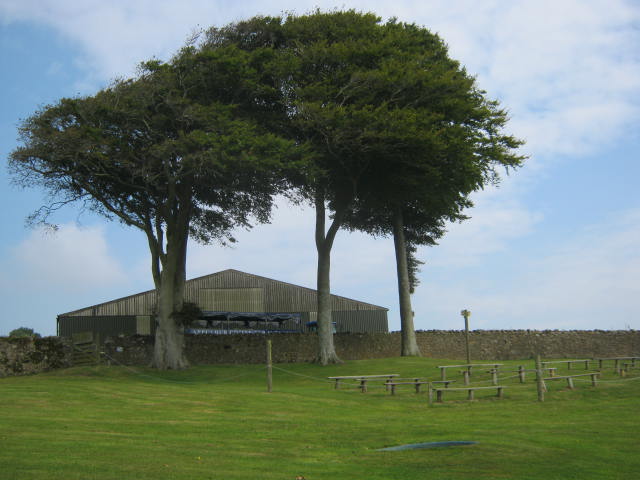 Isle of Wight Owl and Falconry Centre,Appuldurcombe 2016