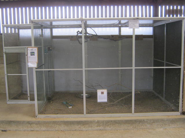 Isle of Wight Owl and Falconry Centre, Appuldurcombe 2016