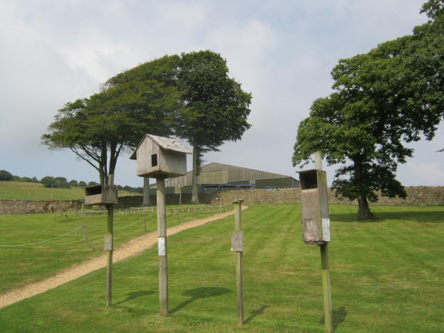 Isle of Wight Owl and Falconry Centre,Appuldurcombe 2016
