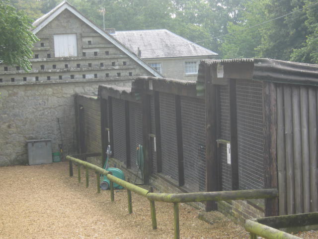 Isle of Wight Owl and Falconry Centre,Appuldurcombe 2016