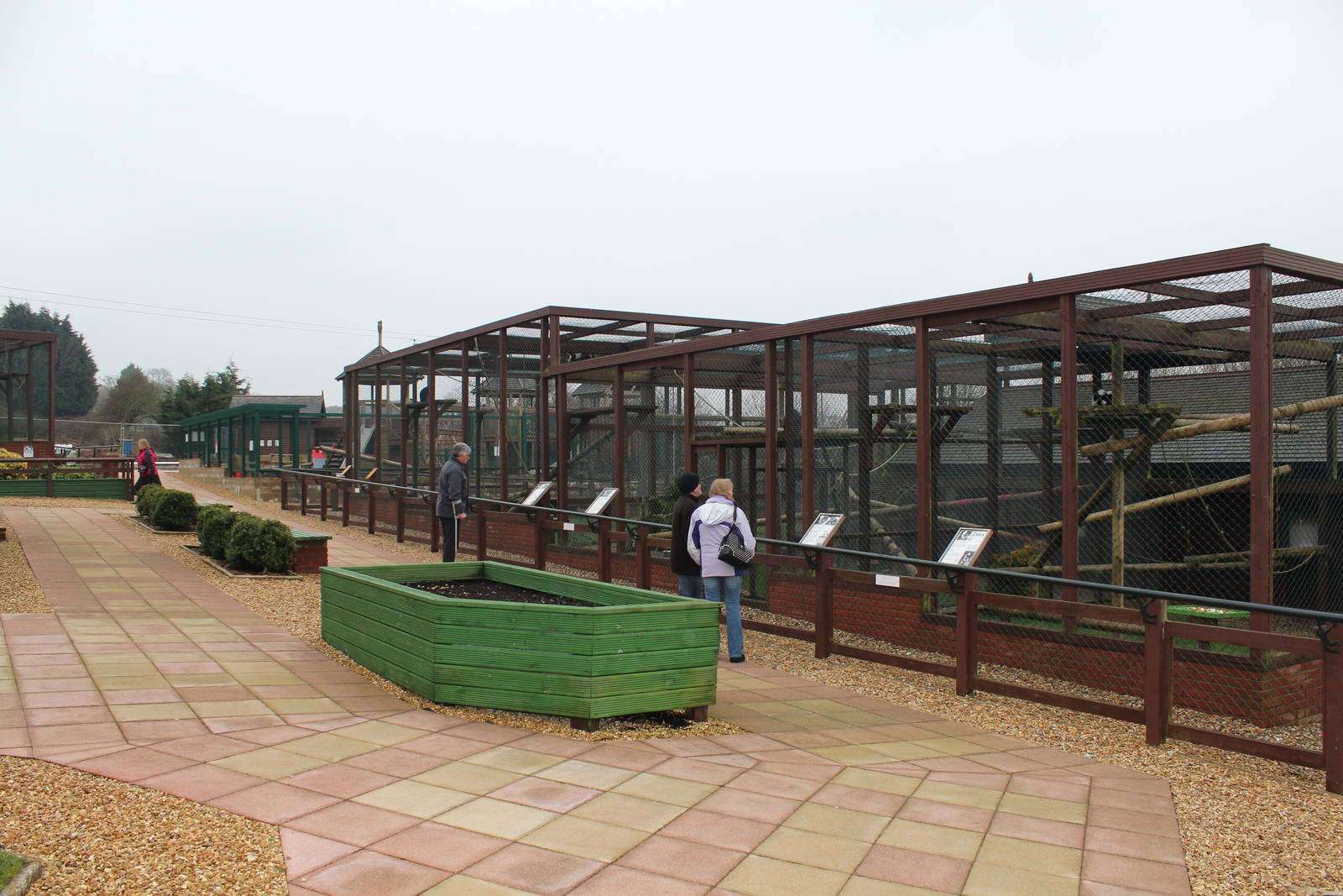 Isle of Wight Owl and Monkey Haven