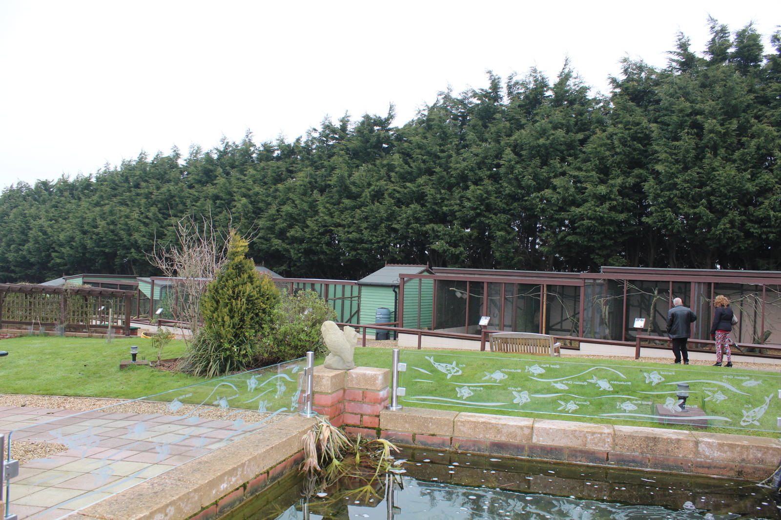 Isle of Wight Owl and Monkey Haven