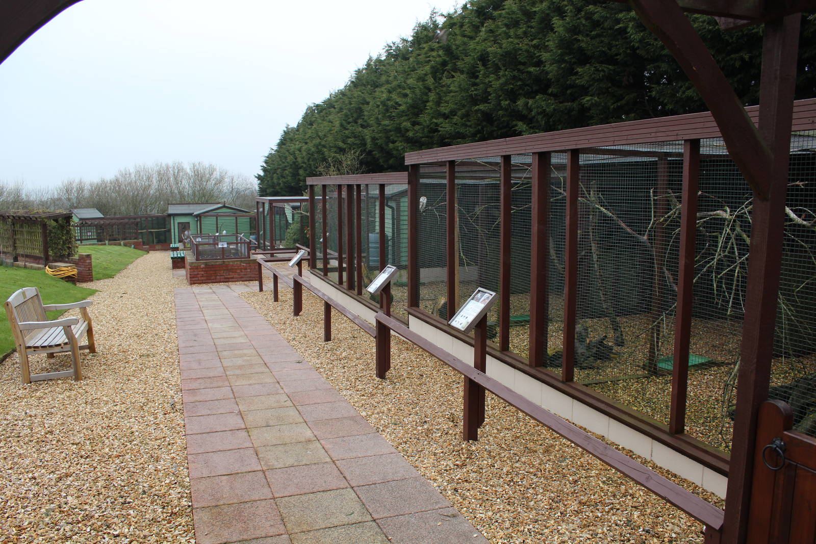 Isle of Wight Owl and Monkey Haven