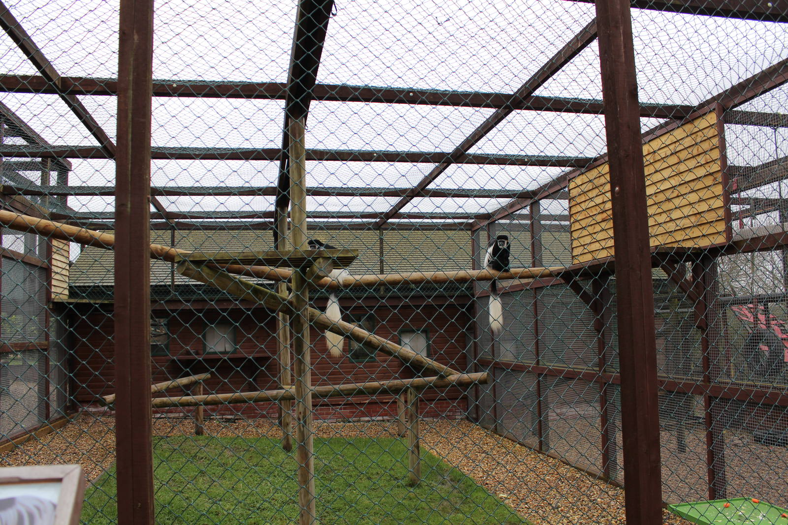 Isle of Wight Owl and Monkey Haven