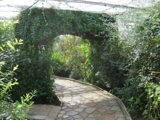 Isle of Wight Owl Butterfly World 2016.