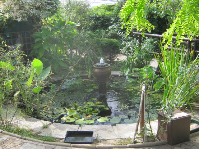 Isle of Wight Owl Butterfly World 2016