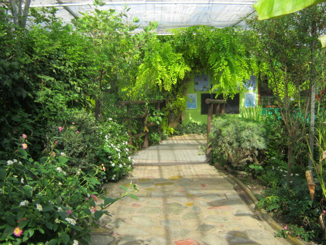 Isle of Wight Owl Butterfly World 2016